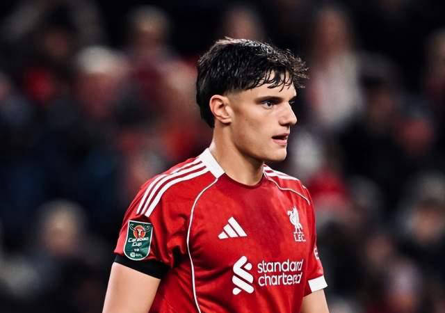 要的, style 要的, style