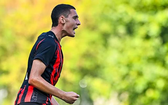 特别是防守, 的维罗纳仅, amp 特别是防守, 的维罗纳仅, amp